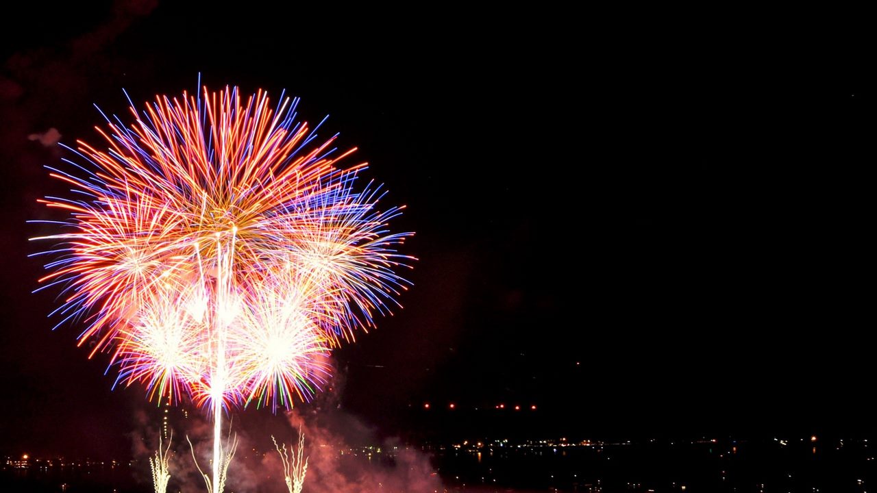 Dayas Fireworks Wholesalers